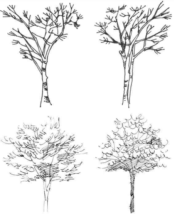 零基础如何快速学会画速写,速写不会画就画大卫