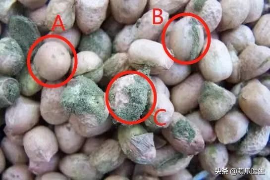 go猫粮翻车了怎么处理,猫吃猫粮死了