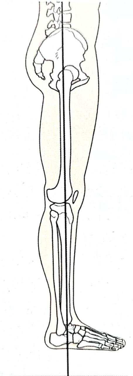 久坐腿关节伸不开怎么回事,久坐膝关节无力活动后恢复