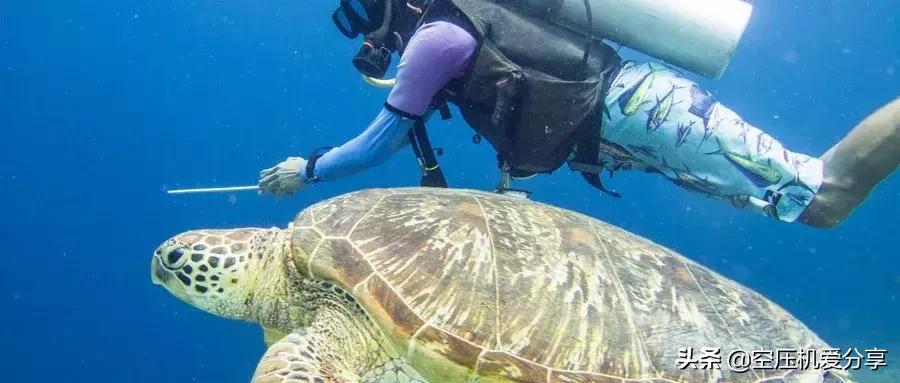 为什么吸氢气和吸氧气感觉不一样,为什么要吸氧空气中不是有氧气吗
