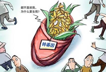 转基因有危害以后还种给人们吃么,转基因作物与转基因农作物一样吗