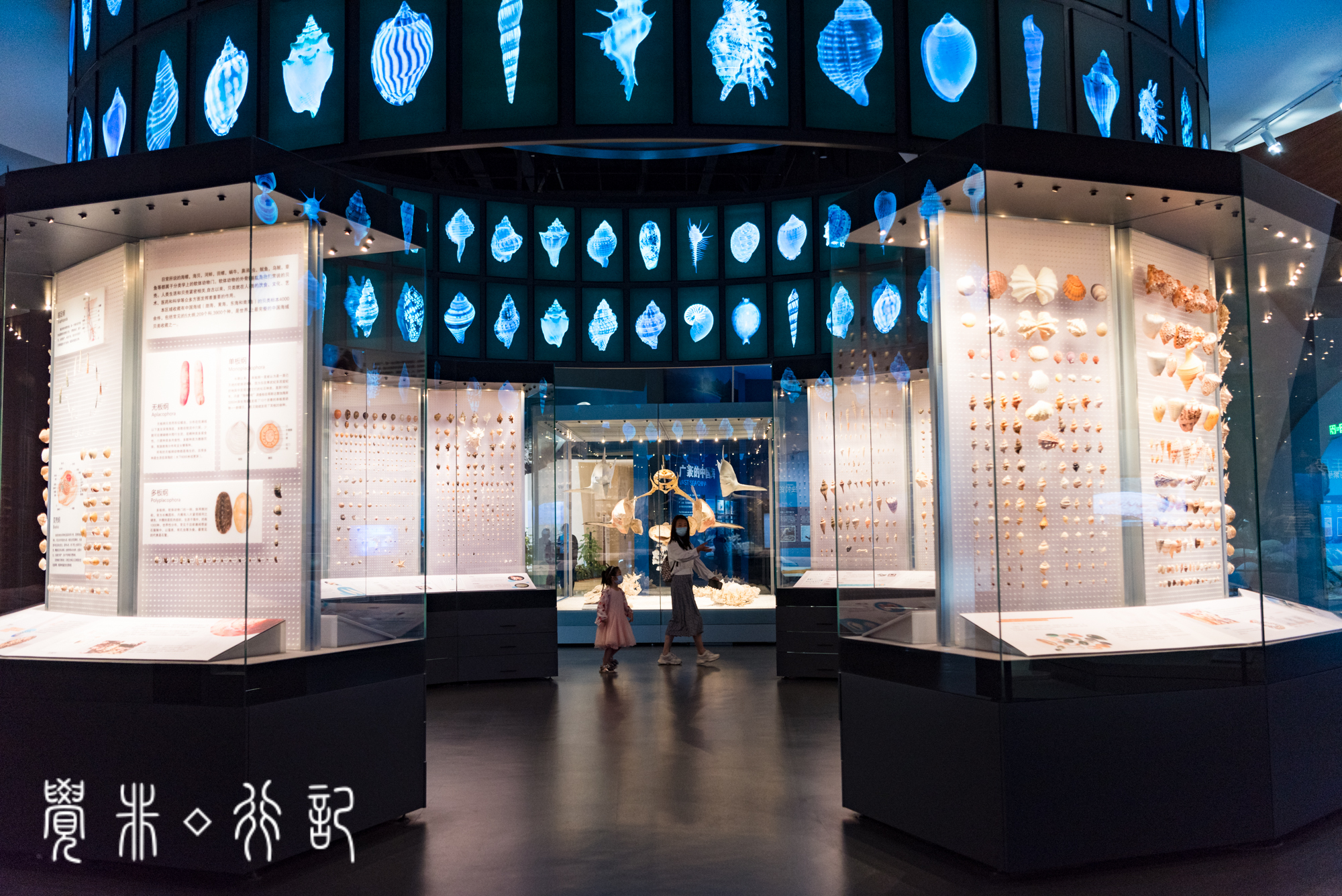 国家海洋博物馆又被称为海上故宫,天津国家海洋博物馆预约电话