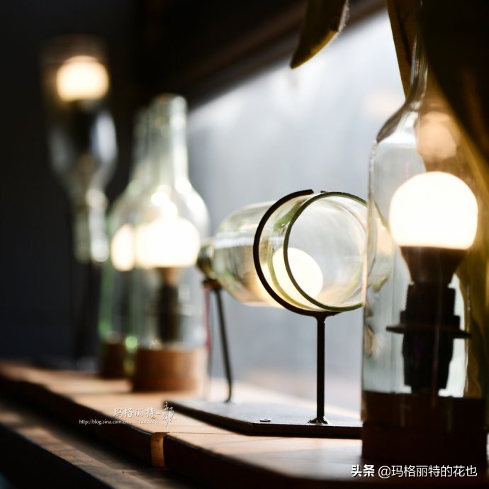 网红餐厅“胡桃里”的绿植布置|行摄