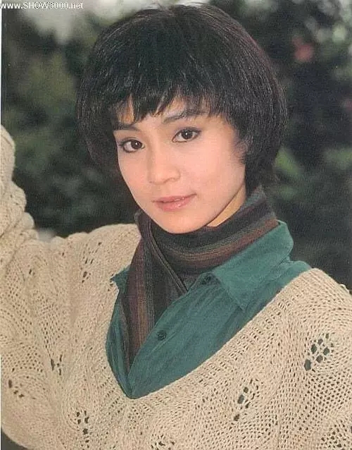 刘雪华比琼瑶大多少,刘雪华琼瑶剧有多成功