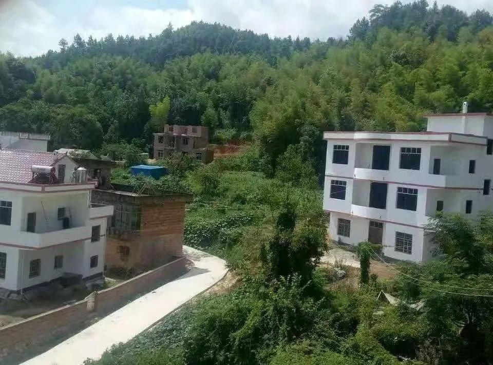 大坪上洛村,深度贫困村打赢翻身仗