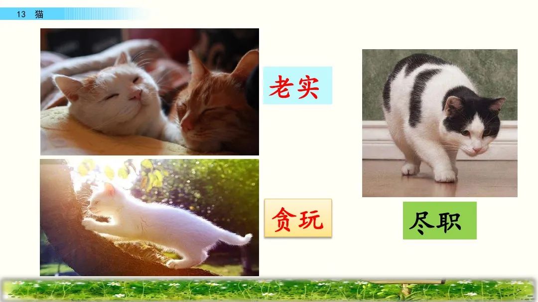 四年级下册语文13课猫课文解析,部编版四年级下册13猫教学视频