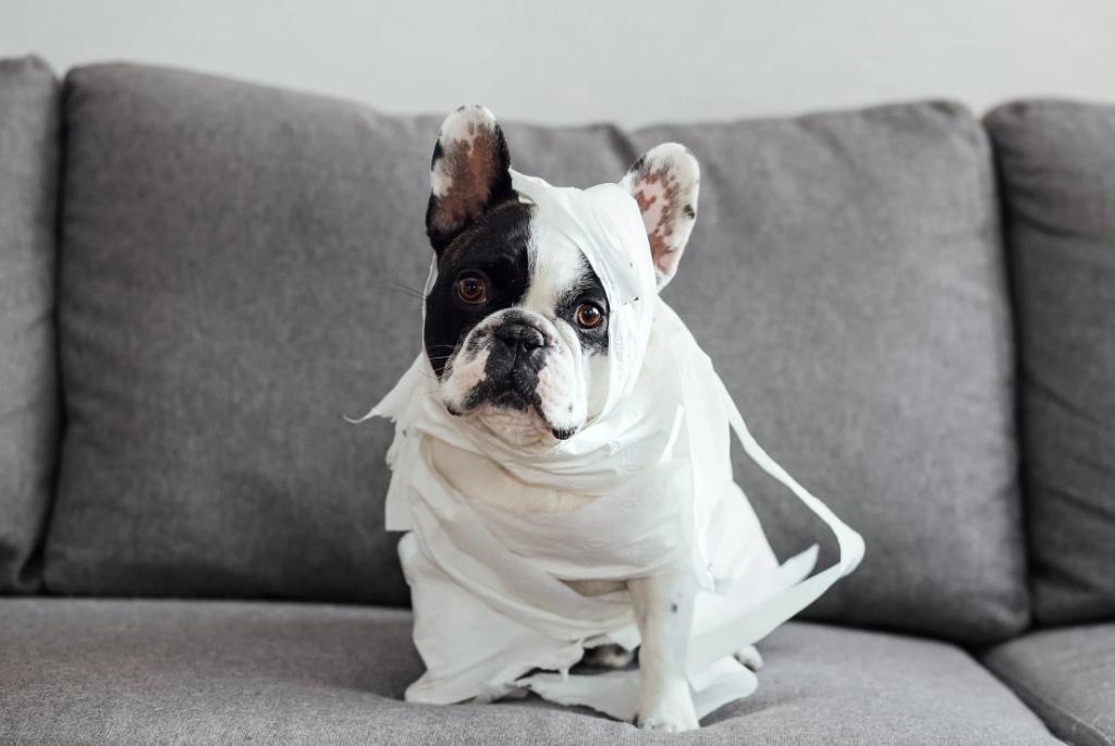 小佩和霍曼饮水机哪一个好,霍曼饮水机和小佩饮水机哪个好