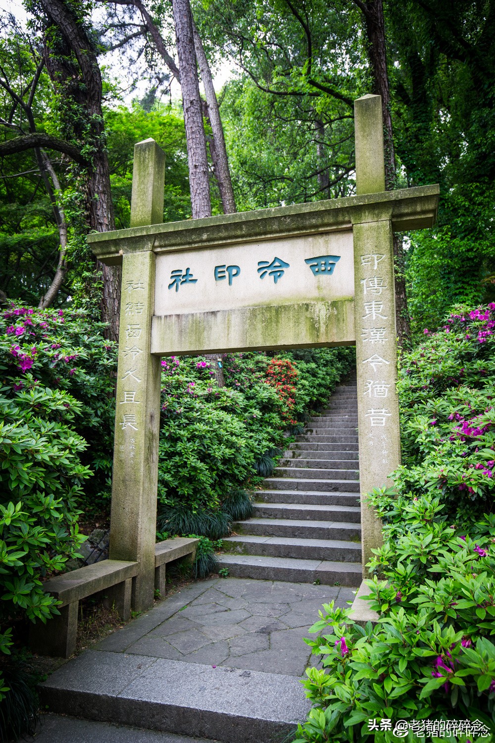 西泠印社百年之谜1-3集,探秘杭州西湖十景