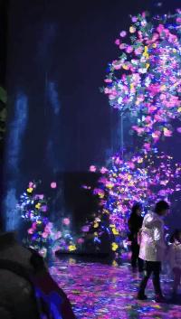 小巷子里藏着最好吃的美食,东京美食街游玩攻略