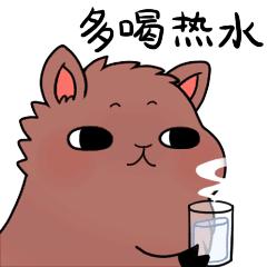 老外眼里中国留学生,老外评价各国留学生