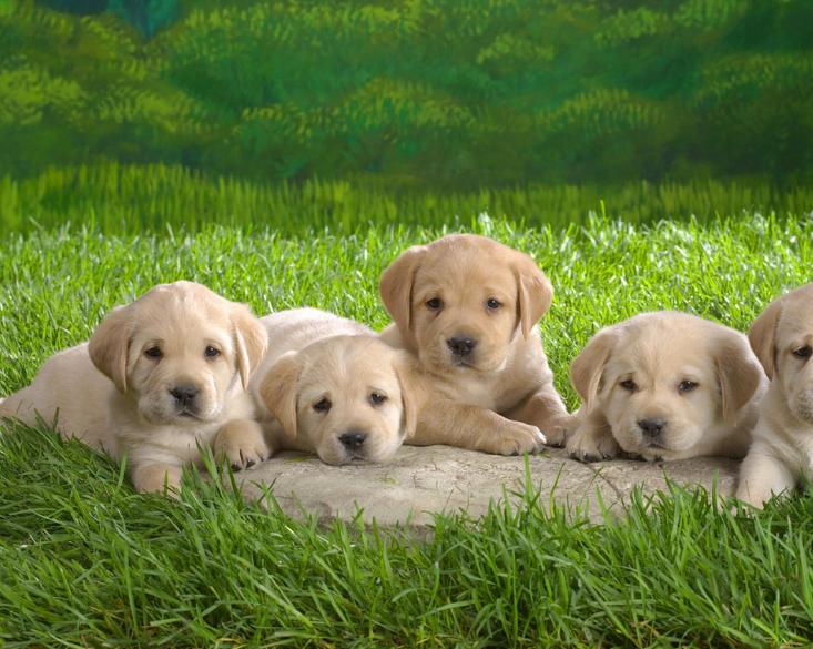 母婴避坑产品新手爸妈必看,坑娃的5类母婴用品