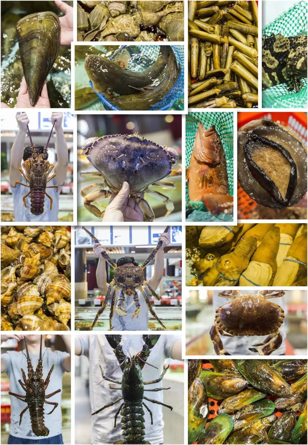 便宜平价美味海鲜,平价海鲜上海