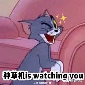 双11买什么化妆品好用,双11美妆大牌有什么优惠