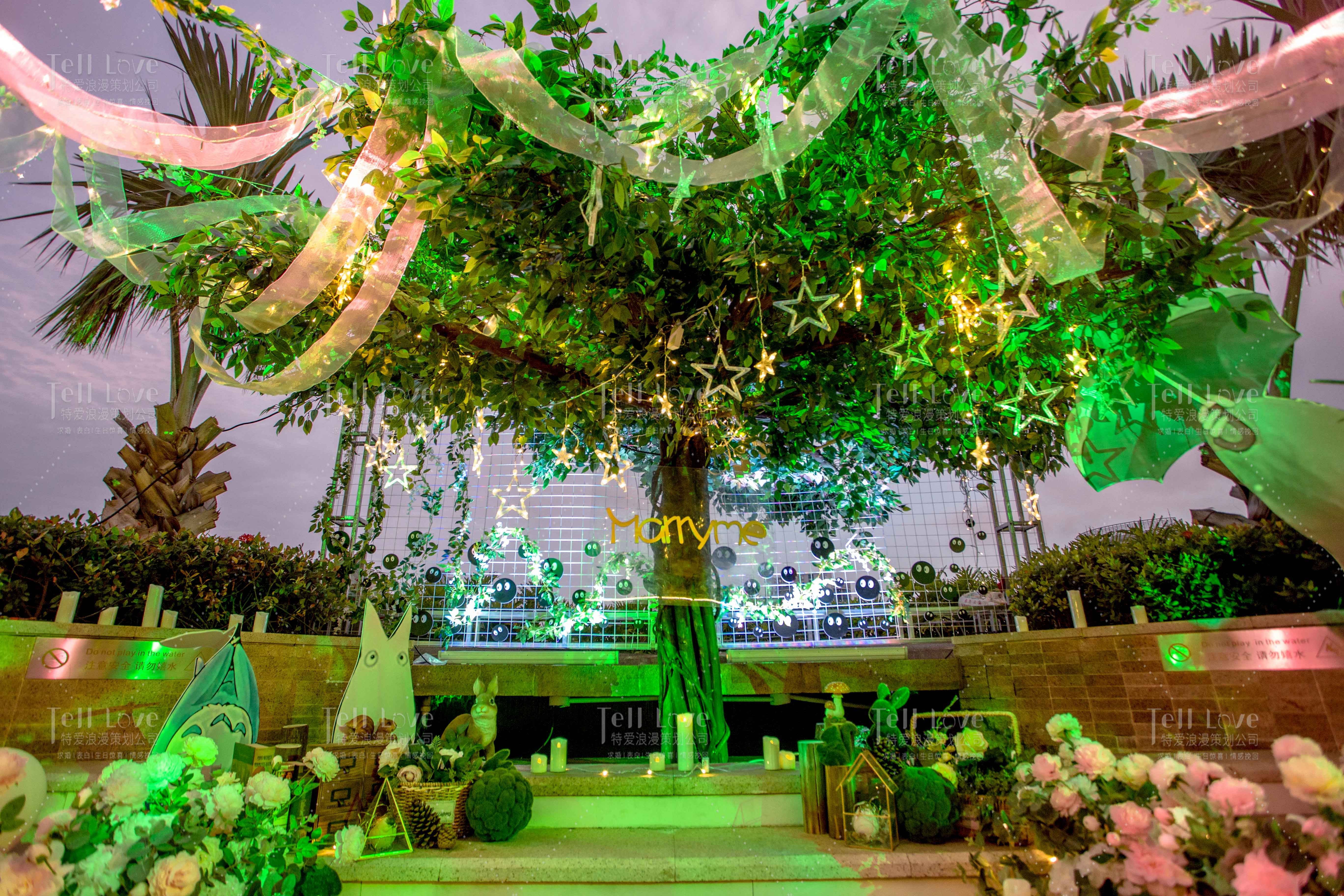 惊喜求婚婚礼策划方案大全,浪漫求婚告白创意求婚方案大揭秘