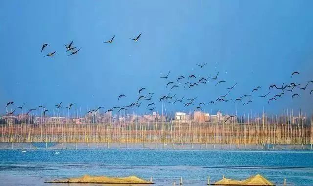 安徽最值得打卡的十大旅行地,安徽十大最好玩的山