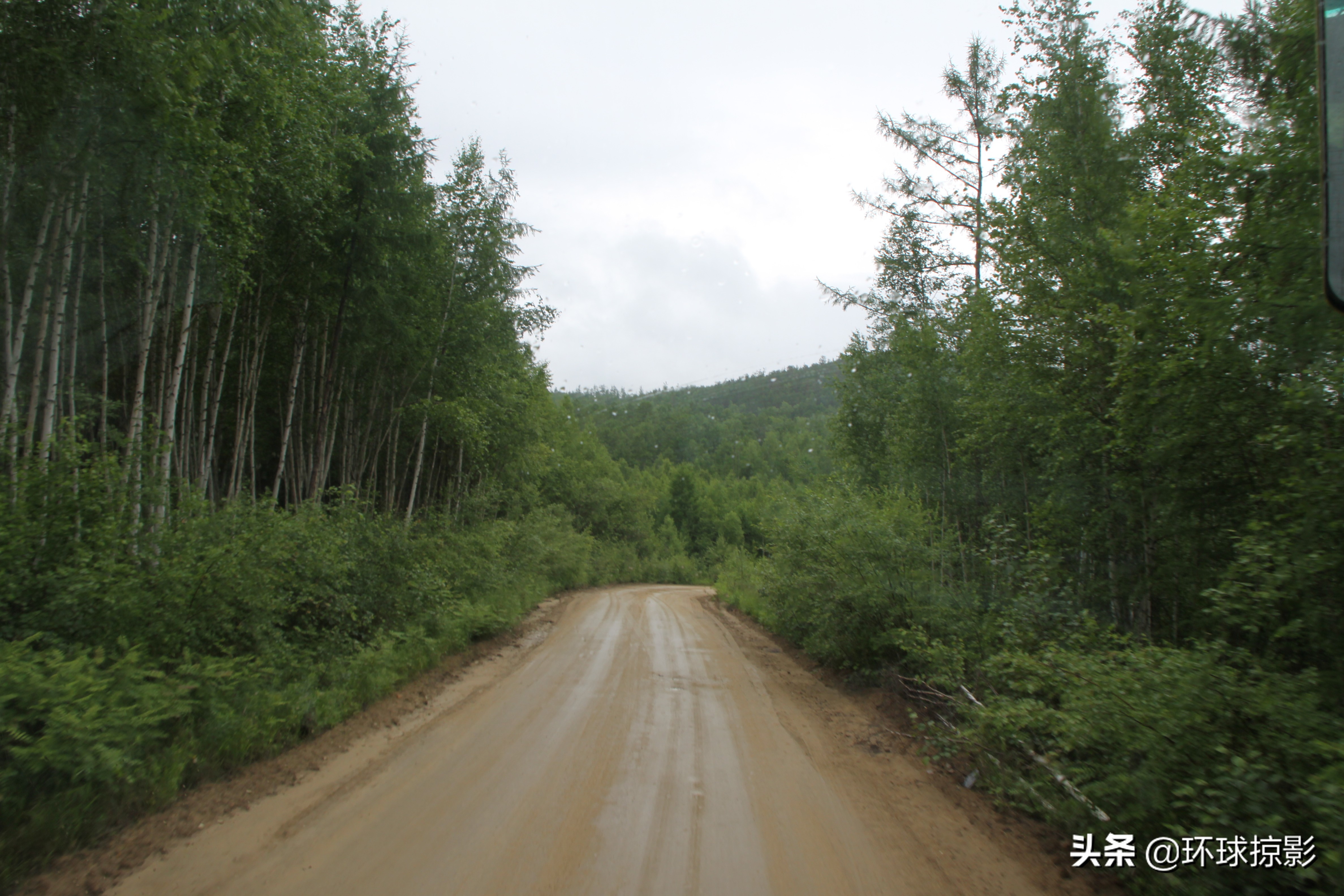 8月份漠河,呼伦贝尔8月中旬