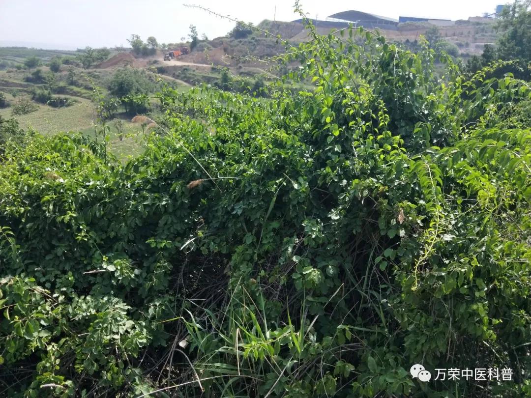 跟我回家在线免费看,跟我回家免费看