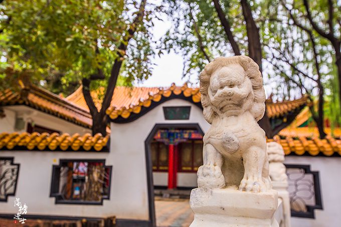 宁夏银川街心公园,宁夏银川公园大全