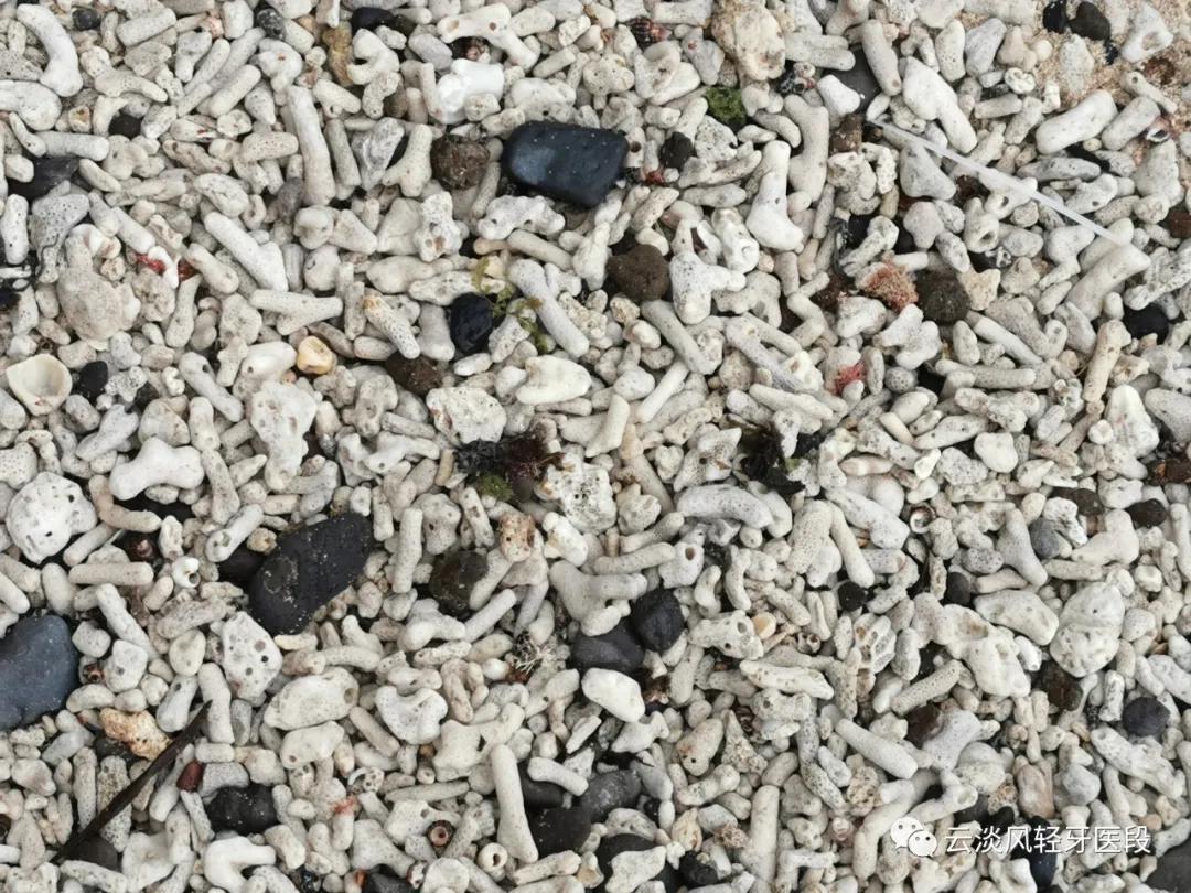 五一的北海涠洲岛,北海涠洲岛三天两夜旅游攻略