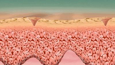 濂冲＋鍙ｈ厰棣欐按鎸佷箙鐣欓,濂介椈鍙ｈ厰鍠烽浘棣欐按