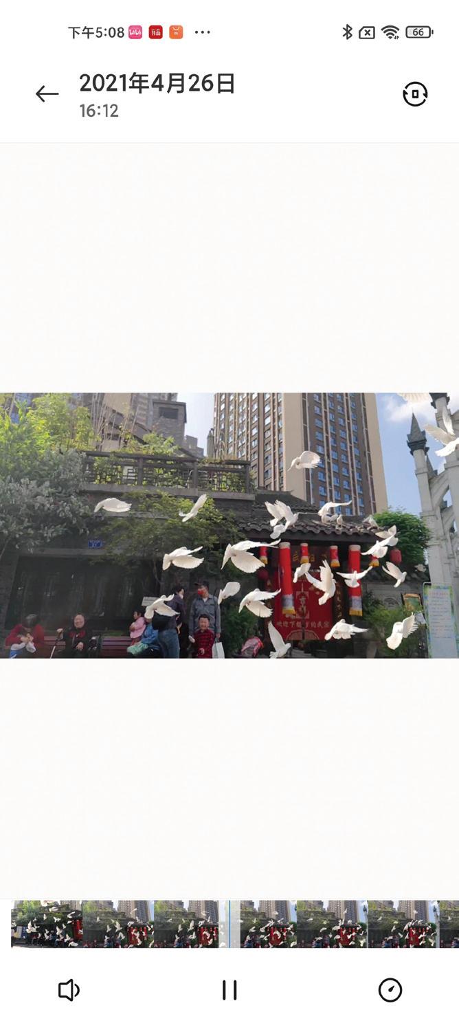 小米11ultra如何调整视频参数,小米11ultra视频讲解