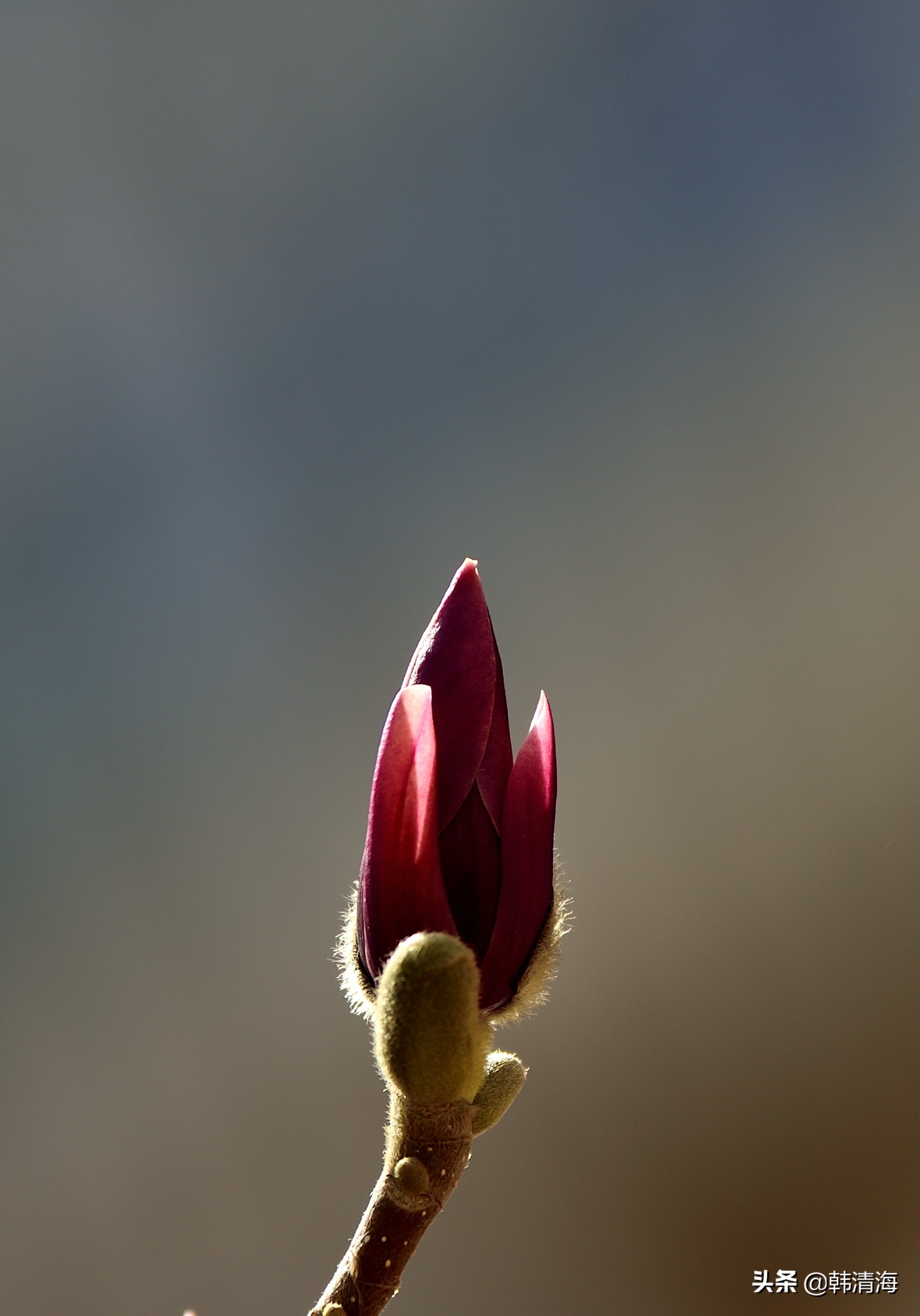 天津南开水畔花园洋房,天津南开区水畔花园