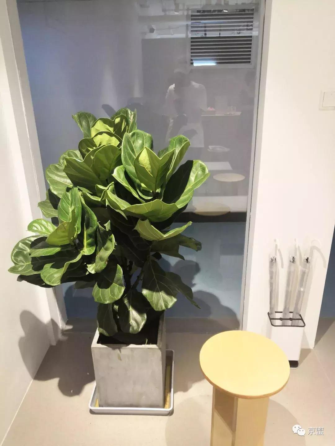 它是读书馆、自习室，更是逐梦空间|福利