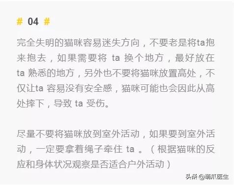 双目失明的猫怎么养,双目失明的猫有哪些