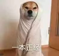 五一五天瘦身计划,夏季懒人瘦身运动