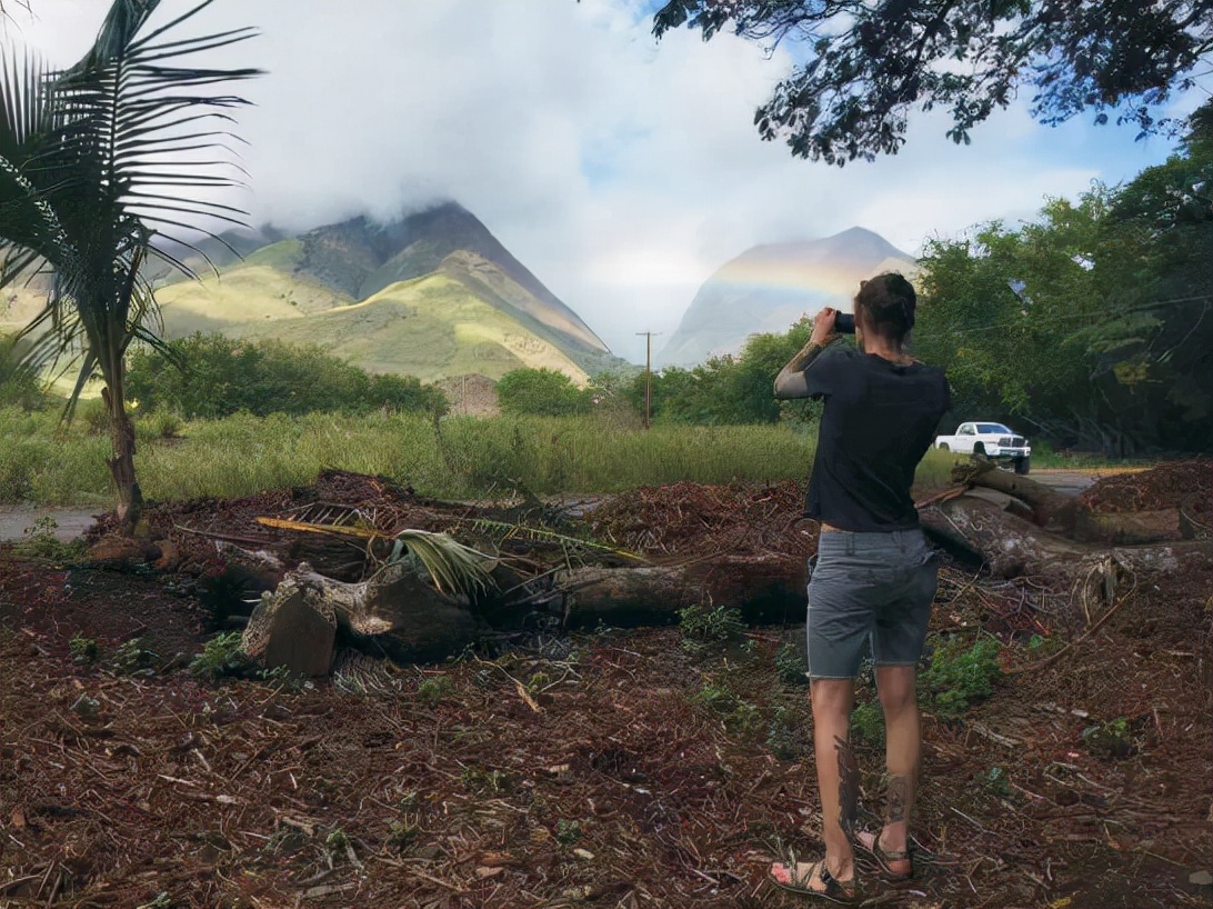 夏威夷的冬天01,夏威夷的冬天的橱窗