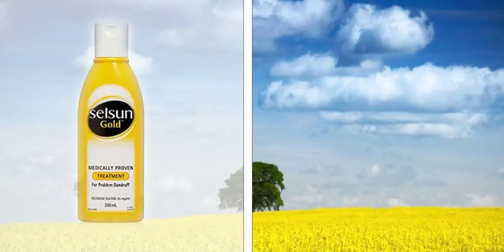 油头去屑控油止痒洗发水排行榜,超级大油头控油洗发水初中生