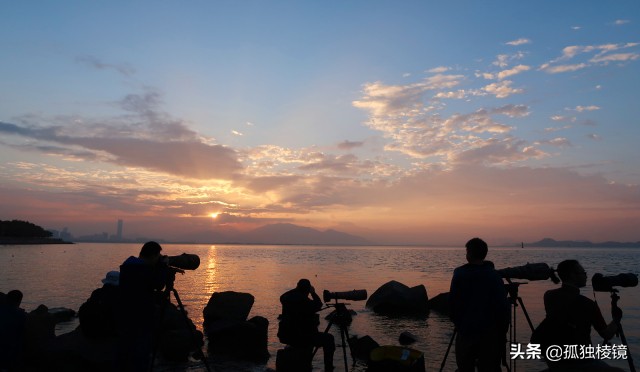 拍鸟的100个技巧,拍鸟的十大技术