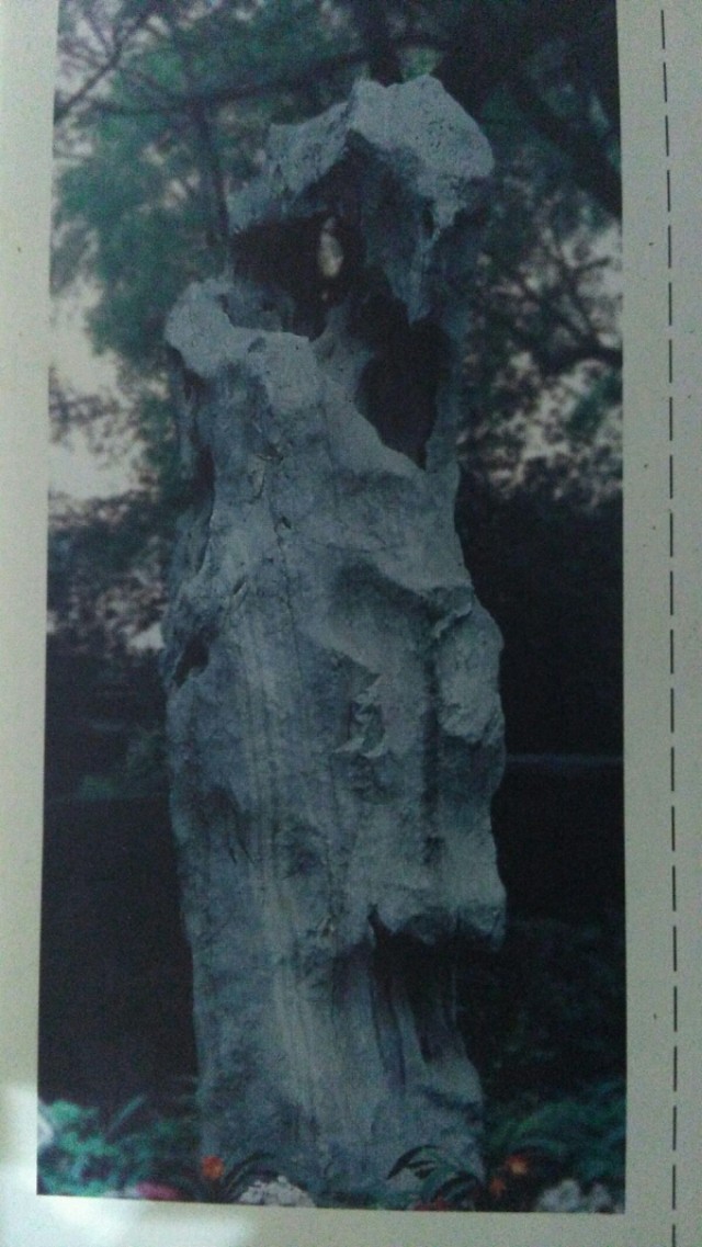 恭王府独乐峰视频,恭王府内独乐峰现场