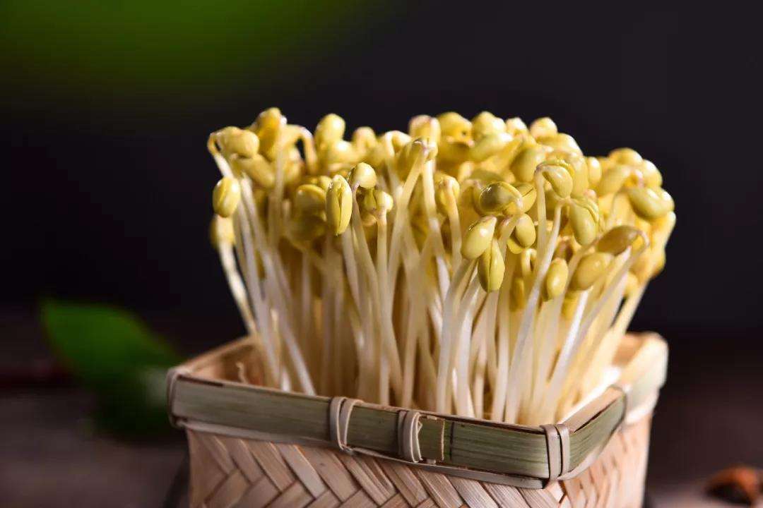儿童豆芽菜,小孩吃豆芽菜的好处