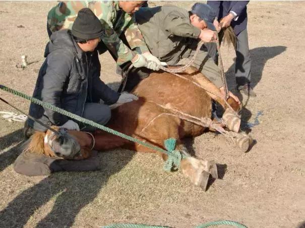 靖远职专简介,靖远职中简介