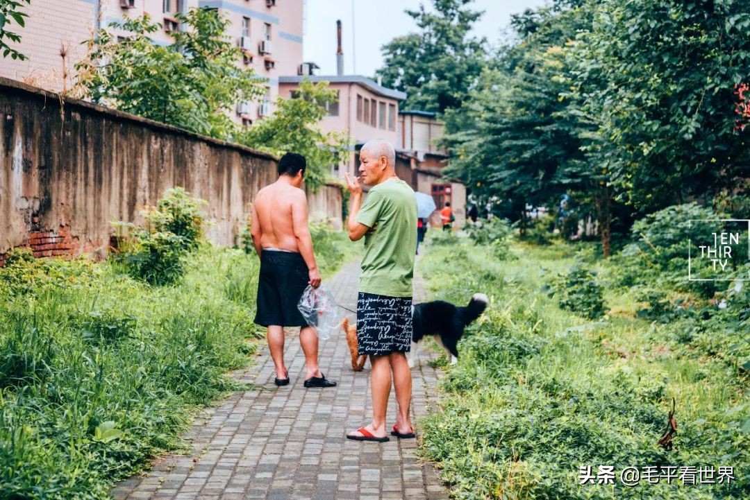 要想真正了解武汉，必须先了解汉阳