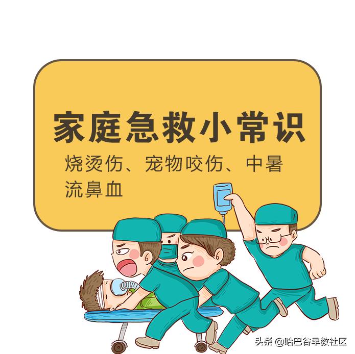 宠物烫伤怎么处理多喝水,宠物咬伤烫伤