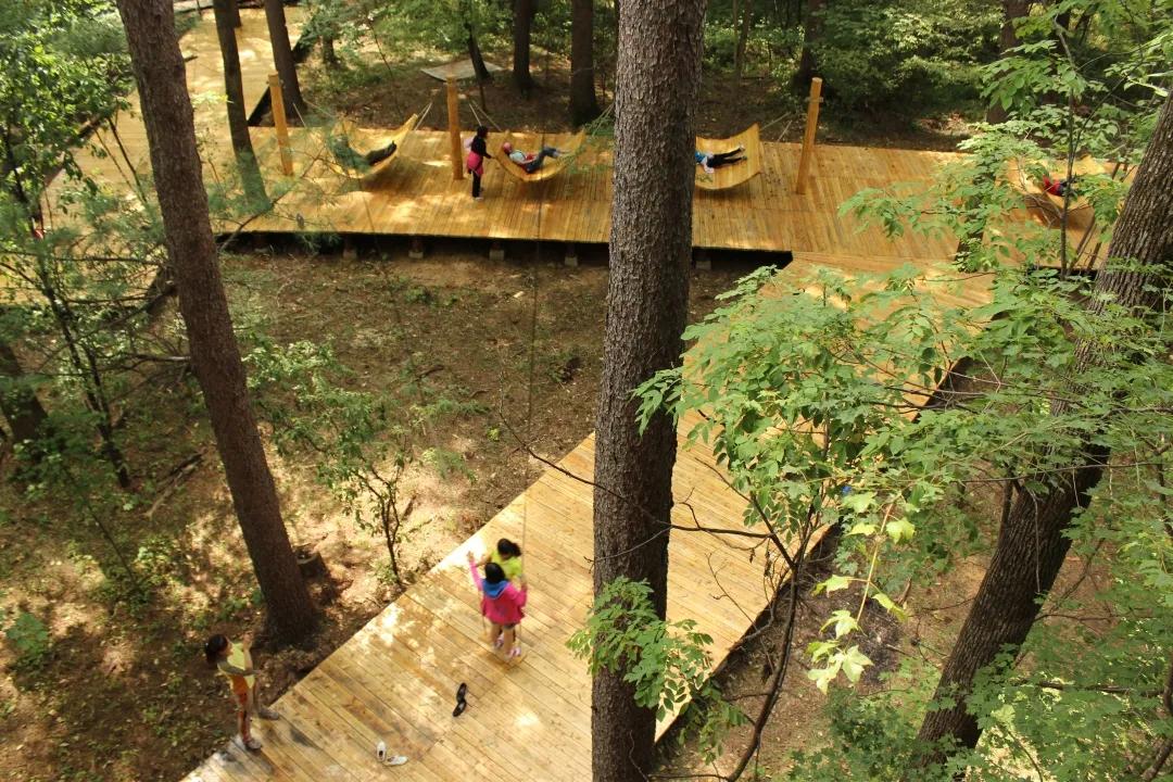 白山之夏旅游,白山4天旅游攻略