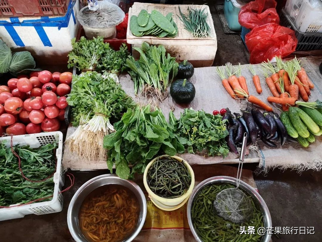 为何对云南评价低游客却络绎不绝,云南负面信息