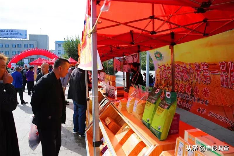 有关如何实现乡村振兴的范文,如何使自己家乡实现乡村振兴目标