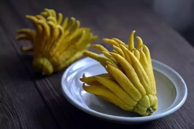 啥是佛手,五种佛手