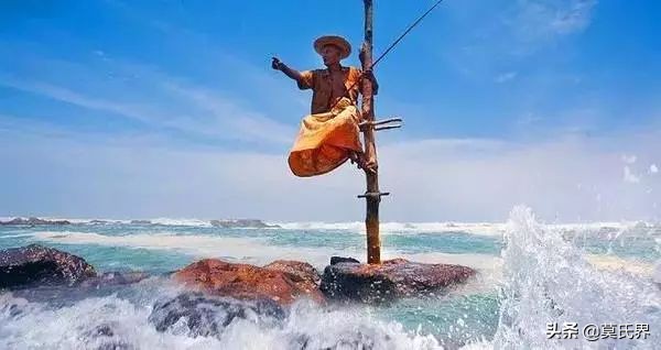 斯里兰卡古老而独特的垂钓方式,斯里兰卡独有的钓鱼方式