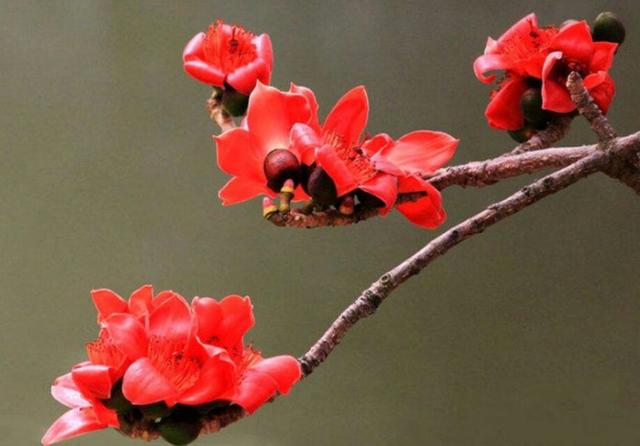 普通百姓怎么理财,这才是普通人正确的理财方法