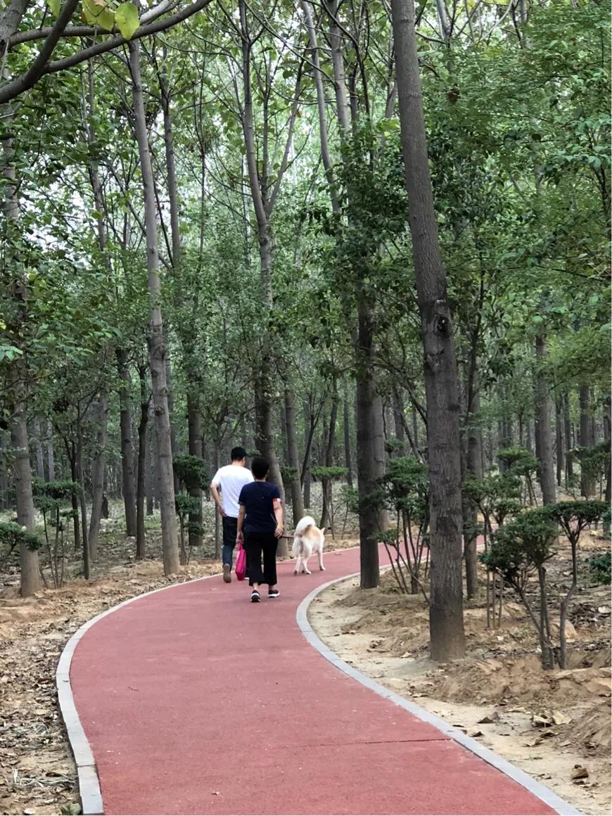 郑州免费公园树木园,郑州树木园开放