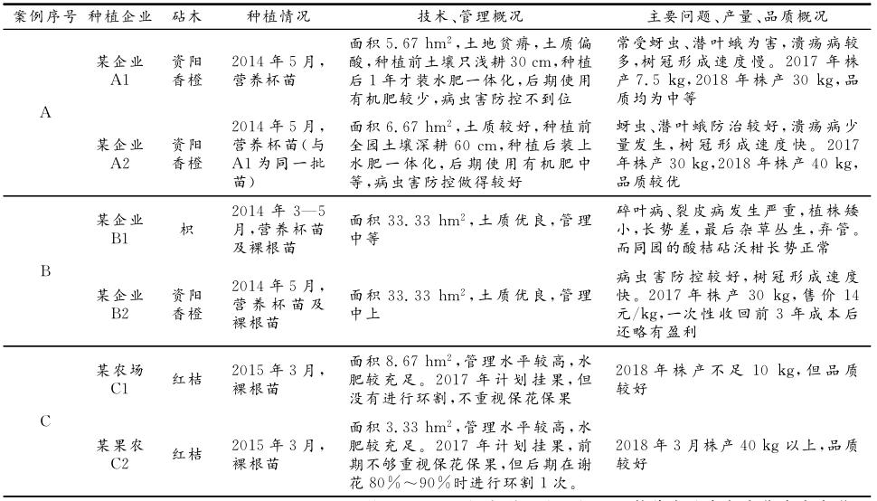 广西全州沃柑现状,广西柑橘生产现状及发展前景探索
