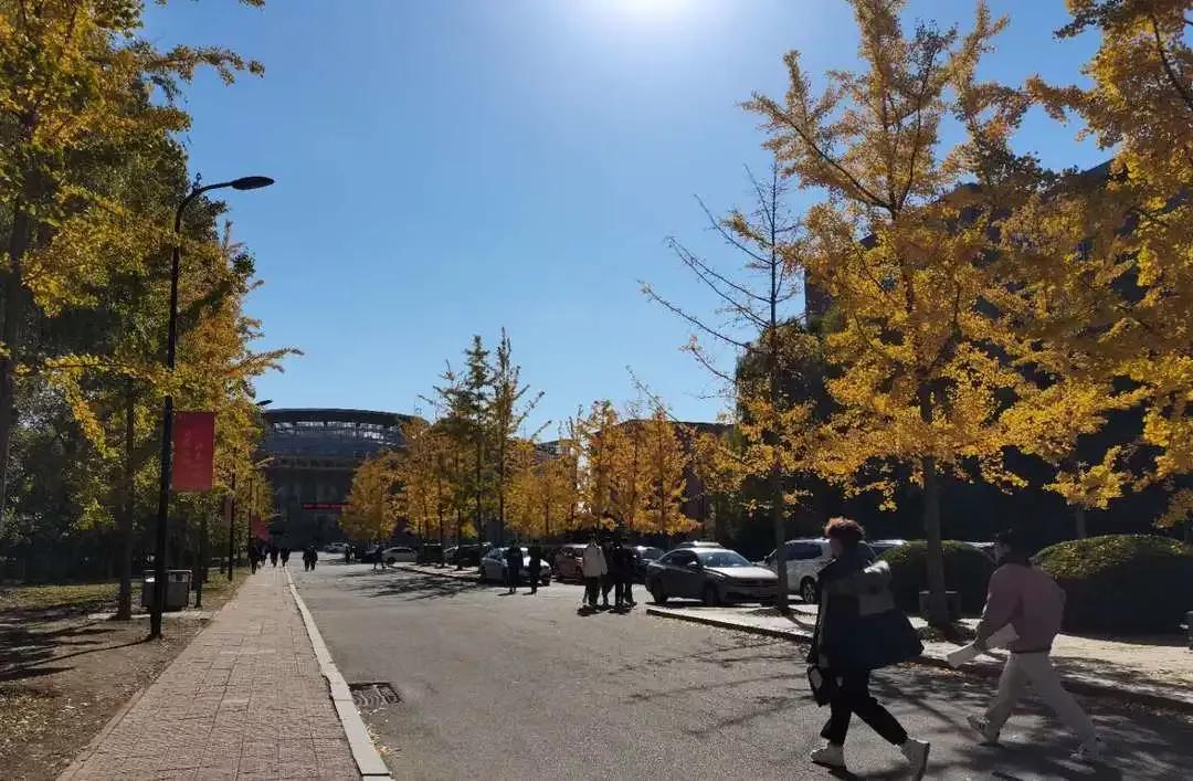 沈阳理工大学辽宁工程技术大学,沈阳理工大学专科院校