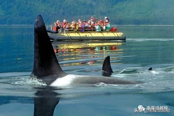 邮轮爆出一例阳性就要耗资数百万美金？