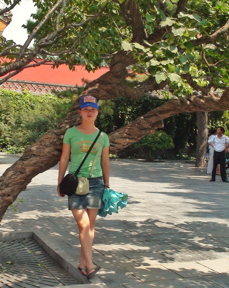 故宫第二？不！沈阳故宫独创宫高殿低，建筑特色深藏满清野心