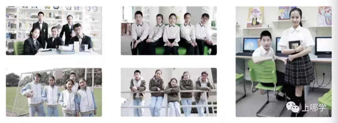 排名好的小学双语国际学校,双语私立小学排行榜最新