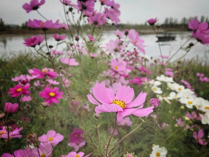 新疆阿克苏美丽风景,新疆阿克苏美景介绍视频